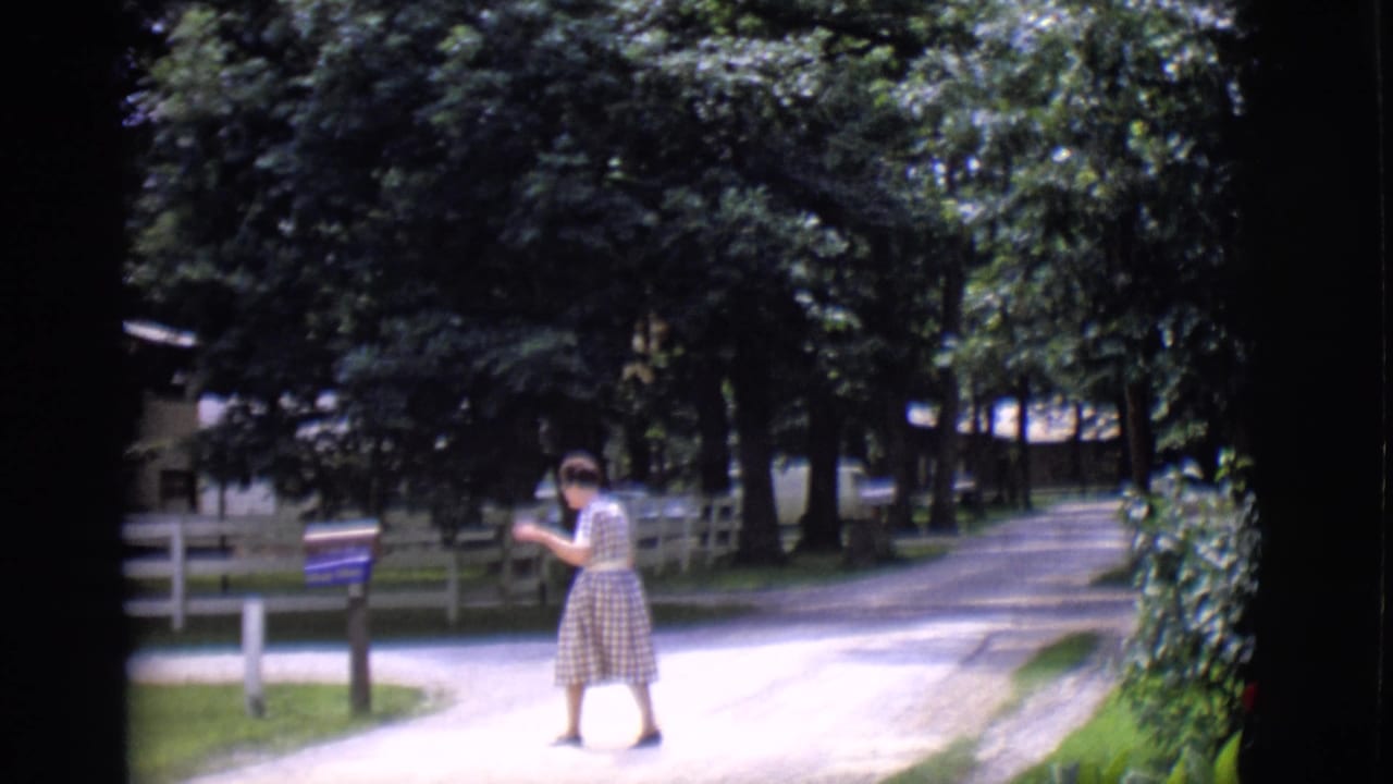 Woman in a checkered dress walking near a mailbox on a shaded gravel road.
