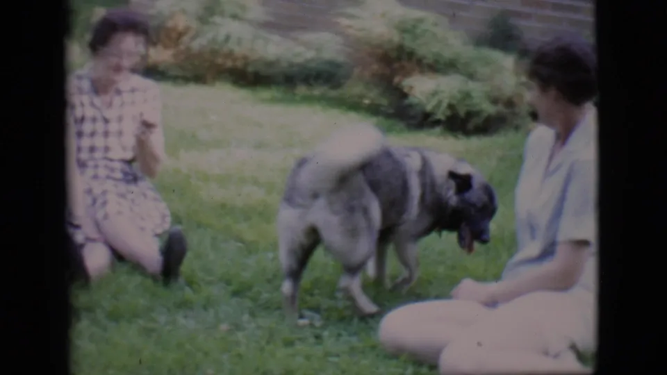 1966 Clarkdale 8mm frame showing two women seated on a lawn while a dog stands between them during a casual outdoor moment.
