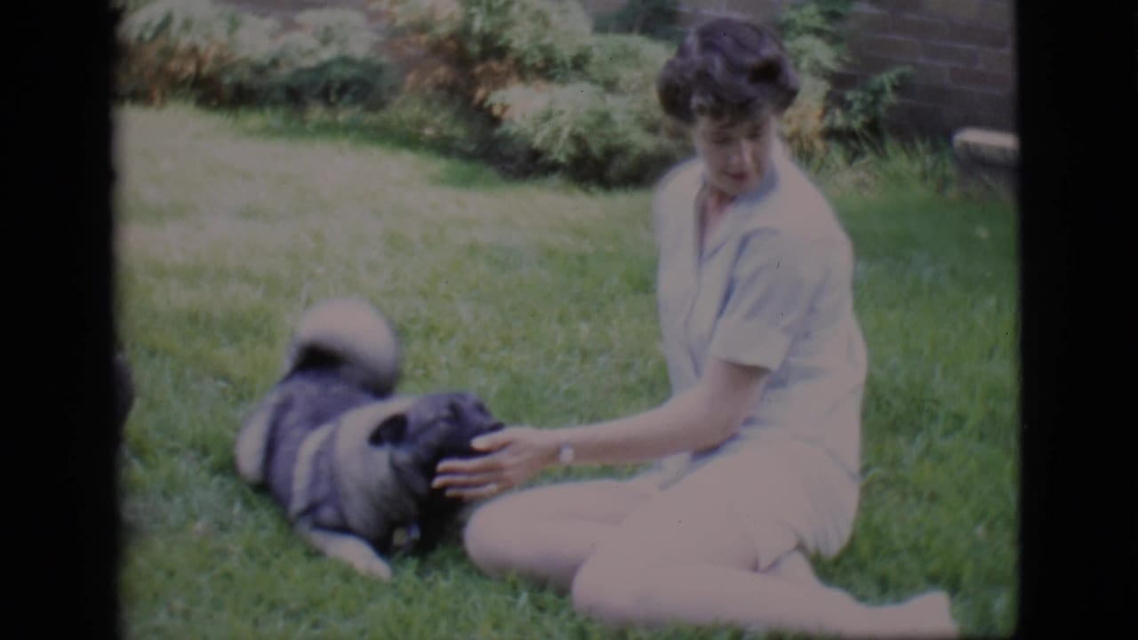 Woman in a light dress sits on grass petting a dark dog in a yard.