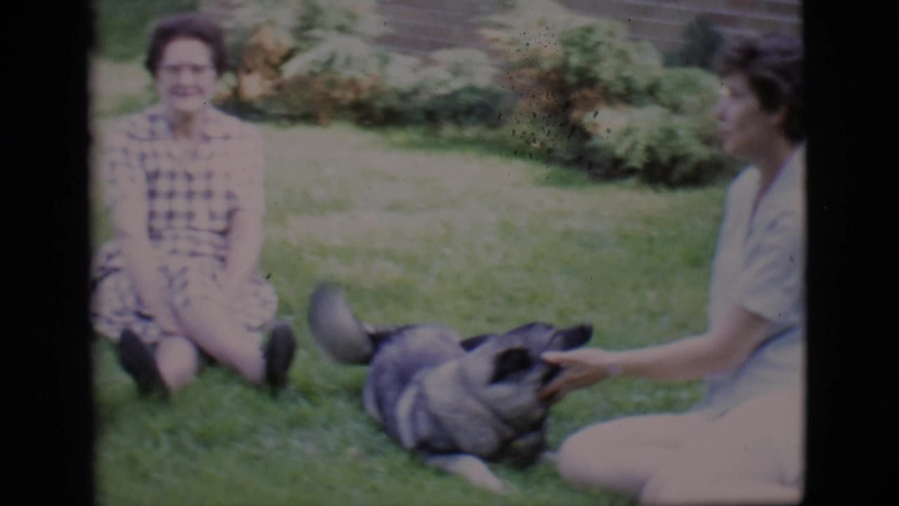 Two women sit on a lawn with a dog lying between them.