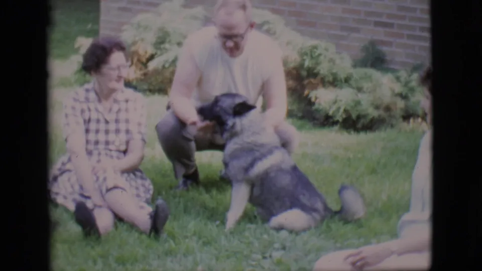 1966 Clarkdale backyard frame with an adult couple interacting with a medium-sized dog on the grass near shrubs and brickwork.