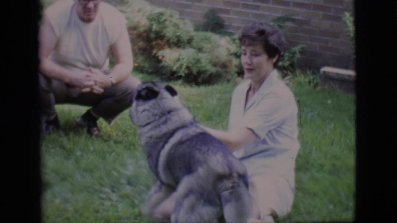 Two adults sit on a lawn while a large dog stands between them.