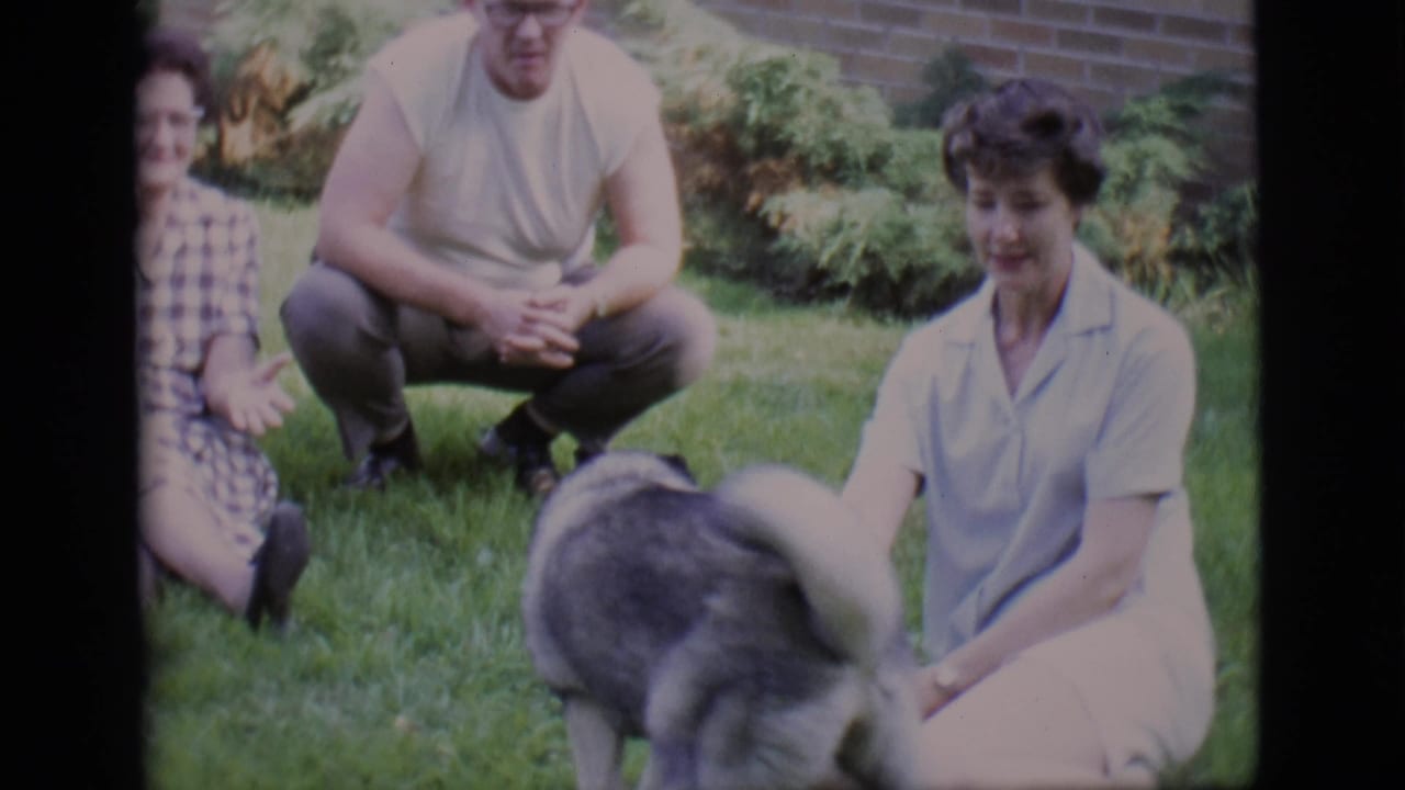Three adults sit on grass as a large dog faces away in the foreground.