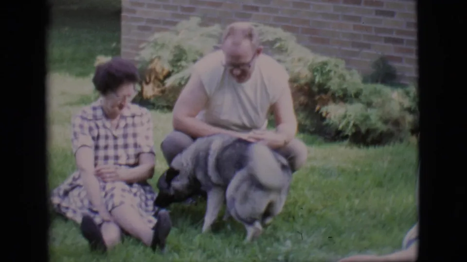A large German Shepherd lowers its head near two seated adults in a 1966 Clarkdale backyard scene.