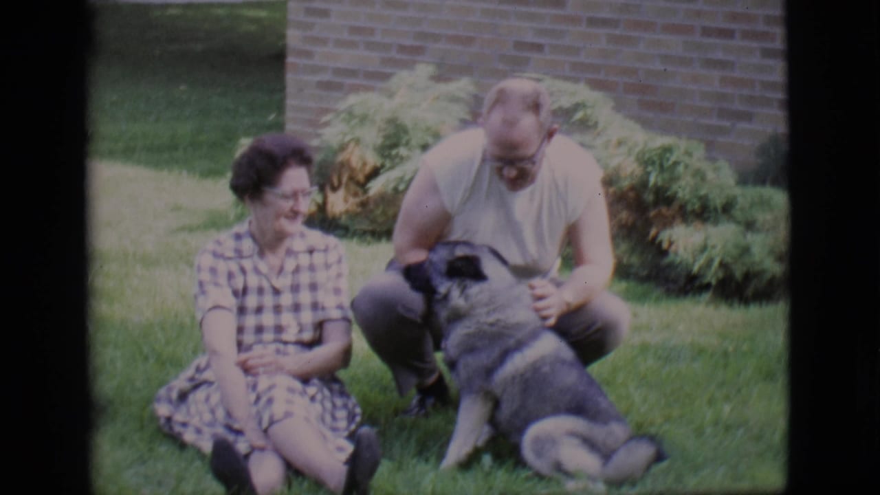 Woman seated on grass beside crouching man petting a large dog near a brick wall.