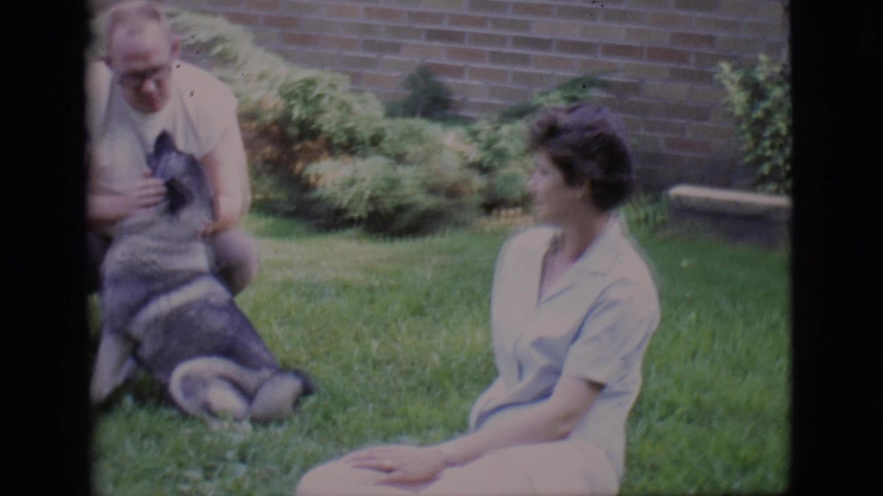 Man crouches with a large dog while a woman in a light dress sits nearby on the lawn.
