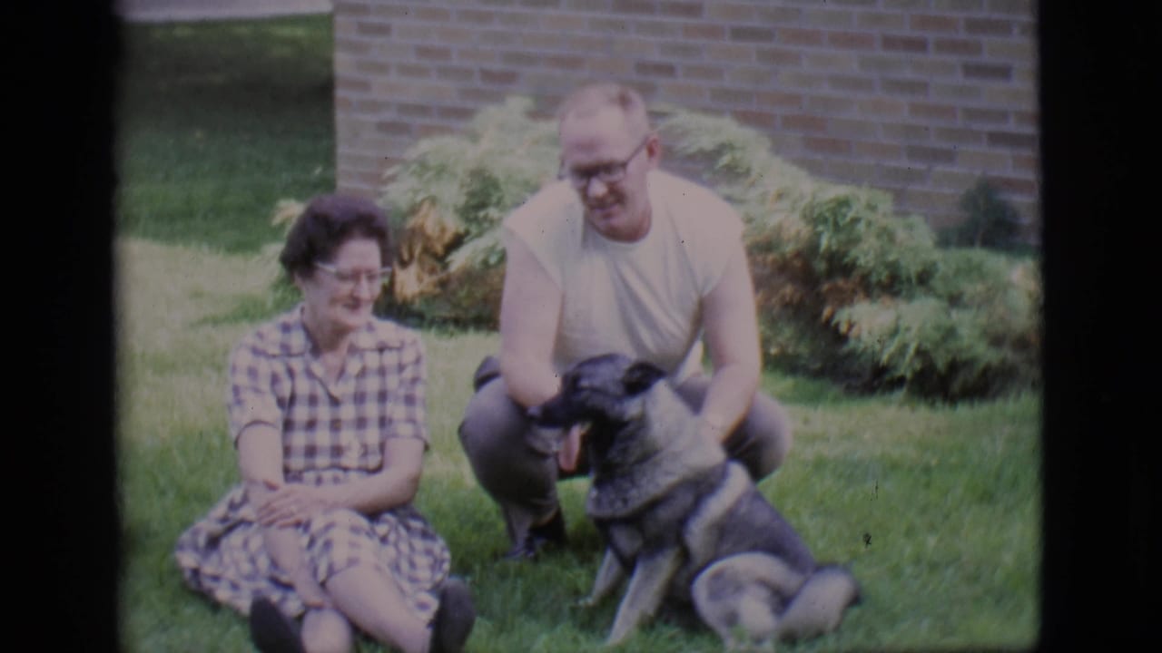 Man crouches with a large dog while a seated woman smiles on a lawn.