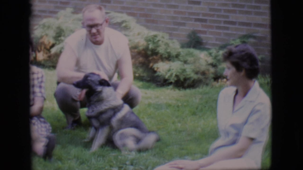 Man pets a seated dog as two women sit on the lawn nearby.