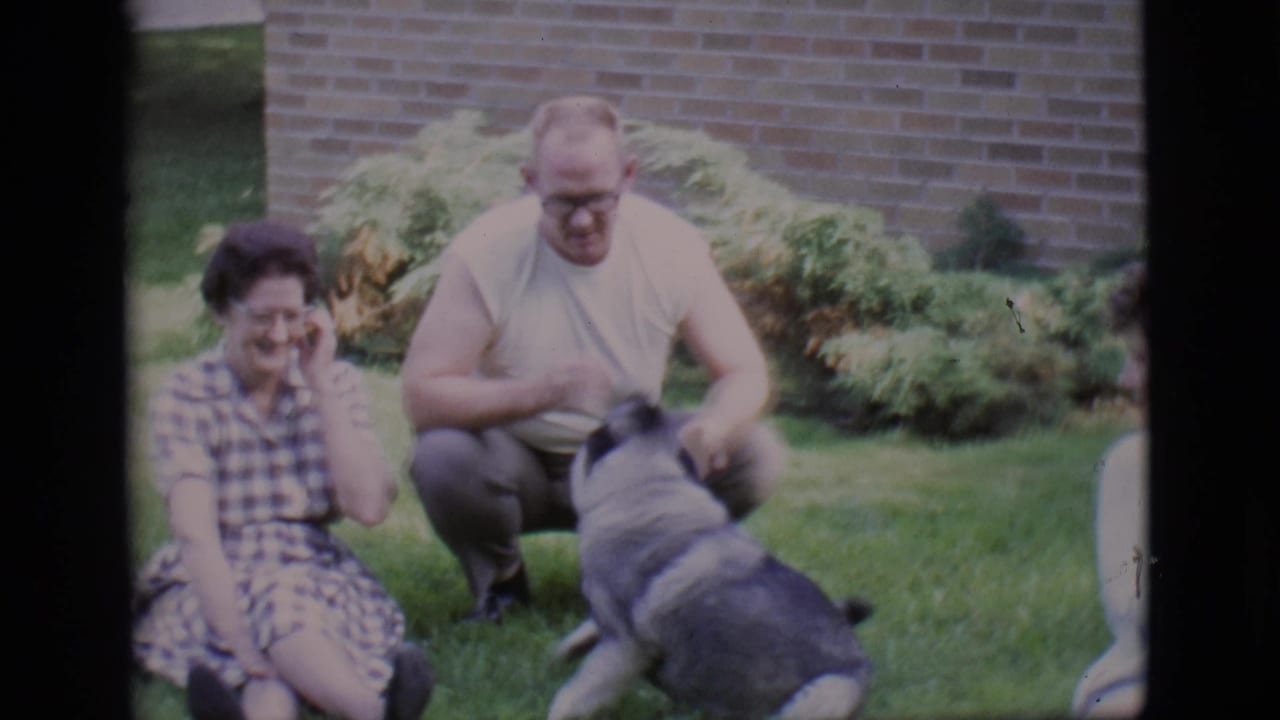 Woman seated on grass beside crouching man as a dog faces them in a yard.