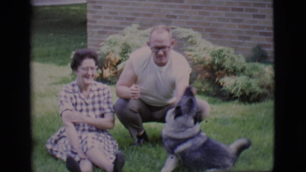 Man crouches with one hand raised as a dog sits or stands in front of him while a woman smiles nearby.