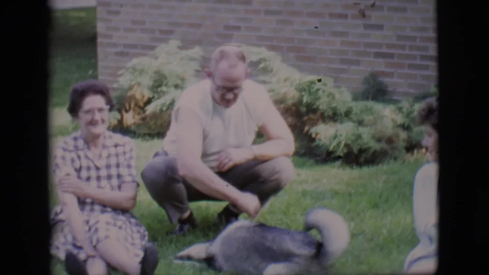 Clarkdale, Arizona 1966 footage shows the dog lying on the lawn as the man reaches down and the woman watches beside him.