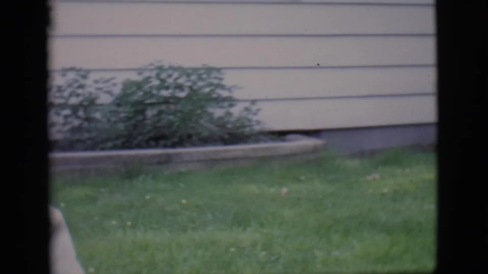 The camera catches the lawn, house siding, shrubbery, and the edge of the dog as the 1966 Clarkdale home-movie shot drifts away.