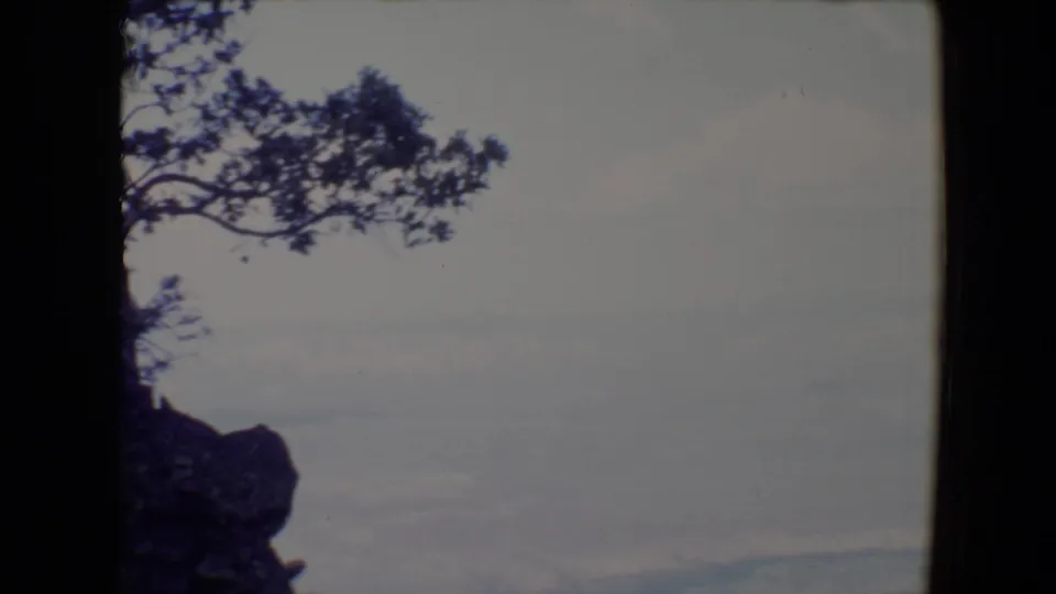 A Flagstaff-area mountain view on 8mm film, with a silhouetted tree and rock outcrop above hazy distant hills.