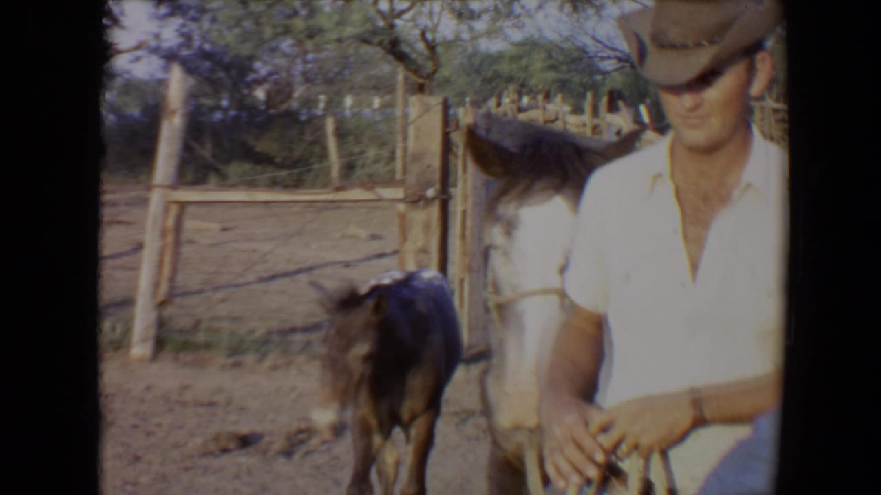 Man in cowboy hat stands beside a horse as a foal moves through the pen.