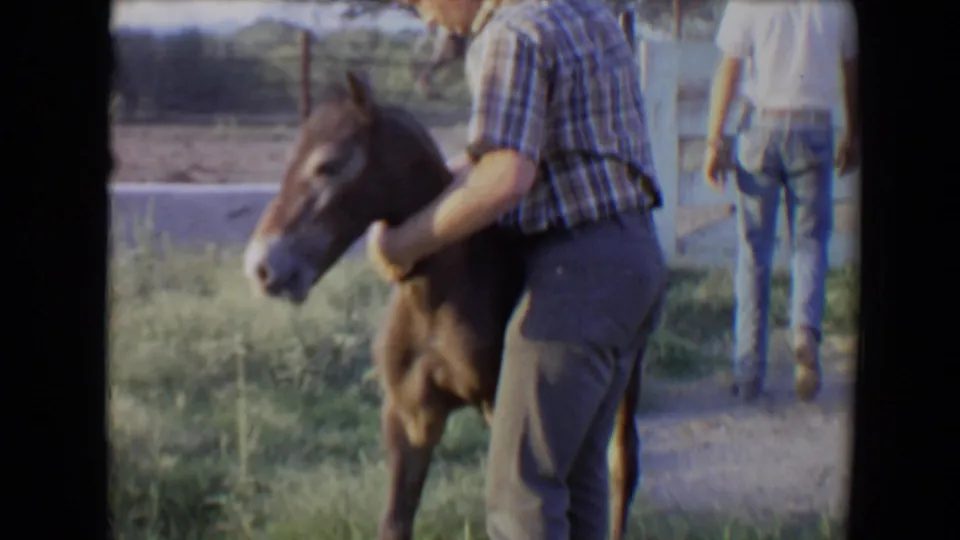 1967 Flagstaff farm footage shows a man in a plaid shirt steadying a brown foal as another person walks through a grassy enclosure.