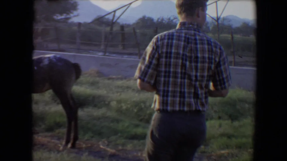 In the Flagstaff farm setting, a man in a plaid shirt faces a brown foal near a grassy fence line in soft 8mm light.