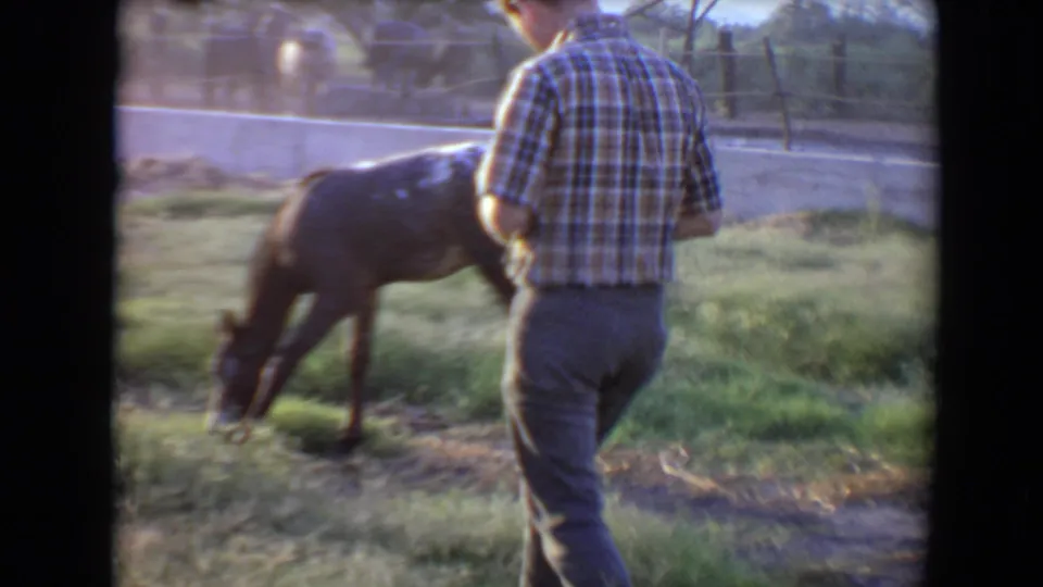 A brown foal lowers its head in the grass while the man in a plaid shirt stands close by in the 1967 Arizona farm footage.
