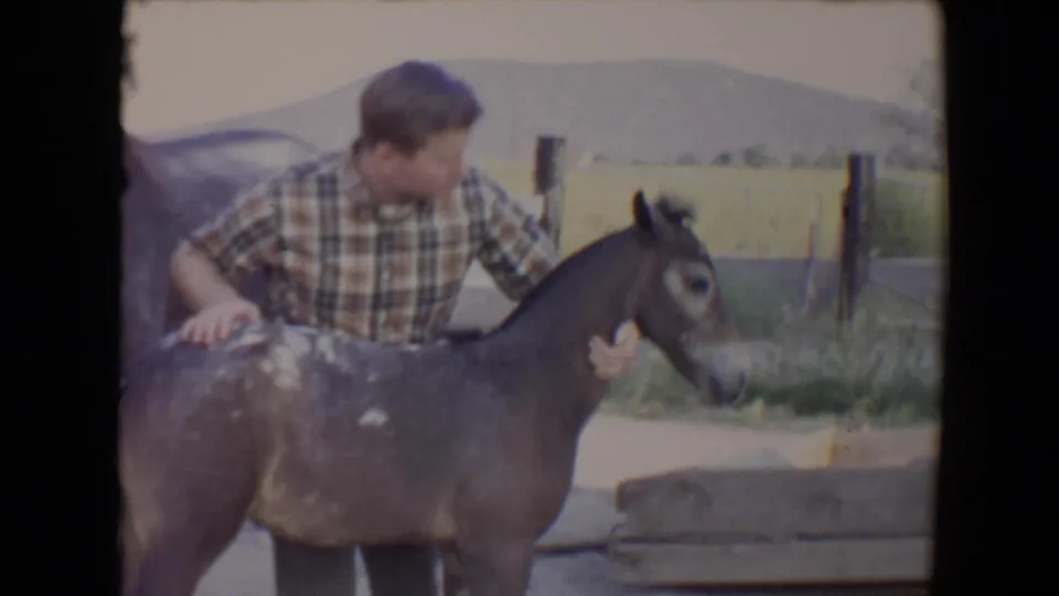 A young man in a plaid shirt gently holds a small donkey in a rural Flagstaff setting with hills and fence posts behind him.