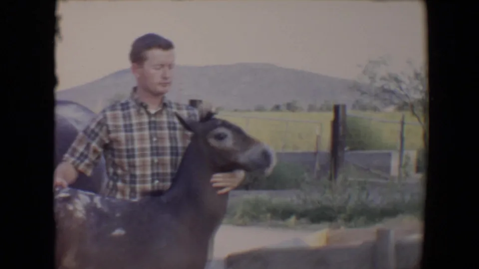 The young man faces the camera while holding the donkey, with a fence, grass, and low hills visible in the 1967 Flagstaff scene.