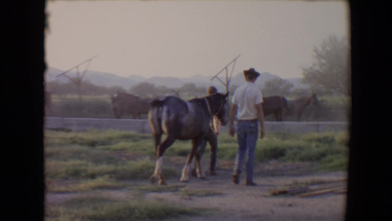 Man in a white shirt and cowboy hat walks beside grey horses on a ranch path.
