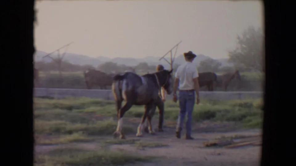 In 1967 Flagstaff-area ranch footage, a man in a white shirt walks away from camera near grey horses with pasture and mountains beyond.