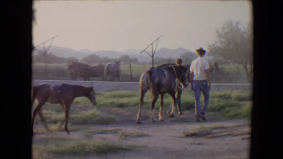 A foal moves through a Flagstaff ranch scene as a man in a cowboy hat walks beside horses under a hazy mountain backdrop.