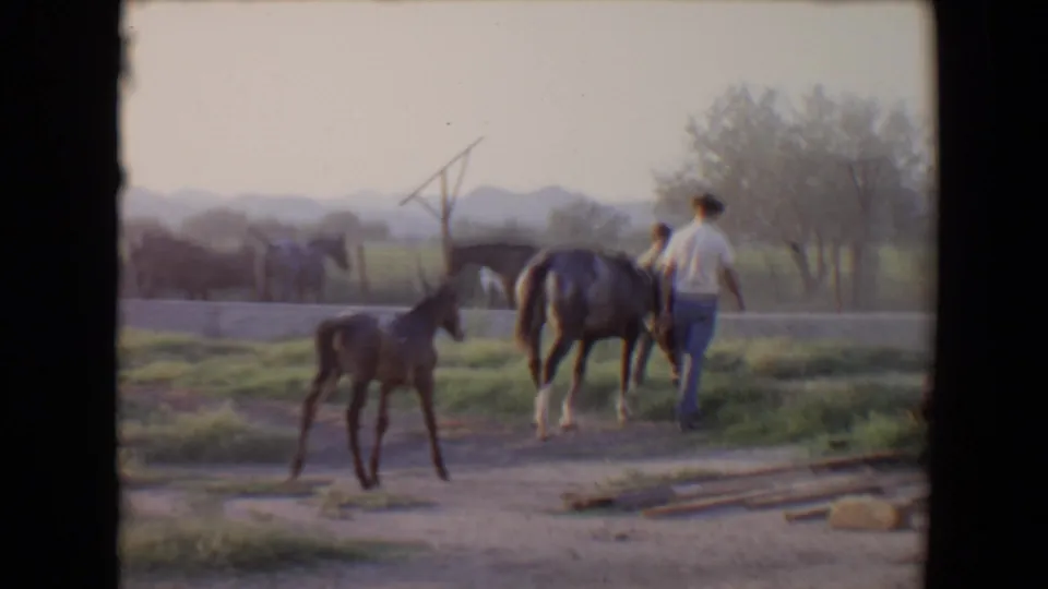 The 8mm frame shows a foal in the foreground and a man with a grey horse moving through a rural Flagstaff ranch landscape.