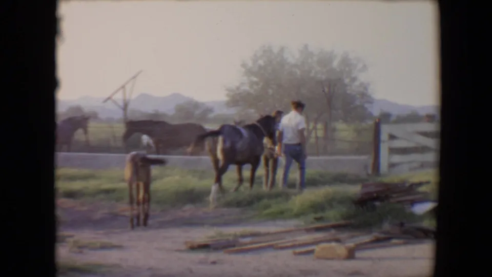 A man in ranch clothes stands near horses and fencing while a foal faces the camera in 1967 Flagstaff home-movie footage.
