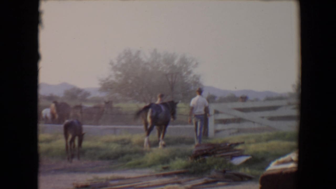 Man stands by a dark horse near a white fence as a foal faces the yard.