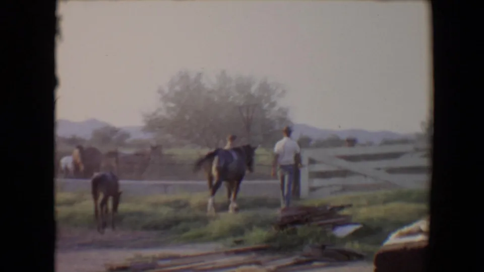1967 Flagstaff rural frame with a man and dark horse near a white fence, a foal in the foreground, and hazy hills beyond.
