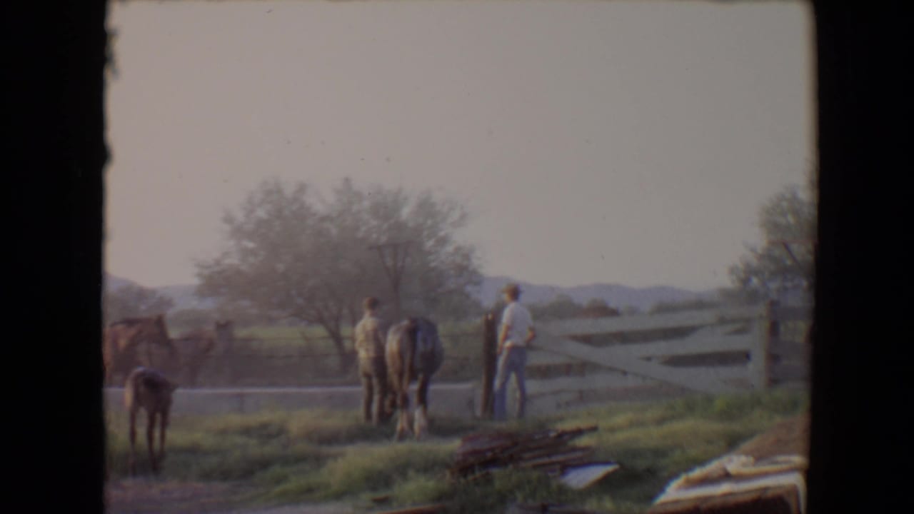 Two men stand near horses and a pony by a white fence in a rural paddock.