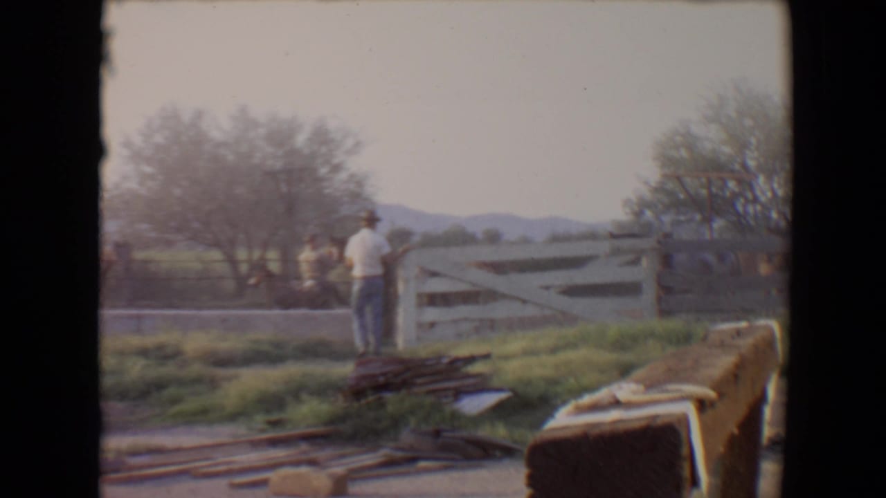 Man in a white shirt stands near a fence as horses move in a rural paddock.