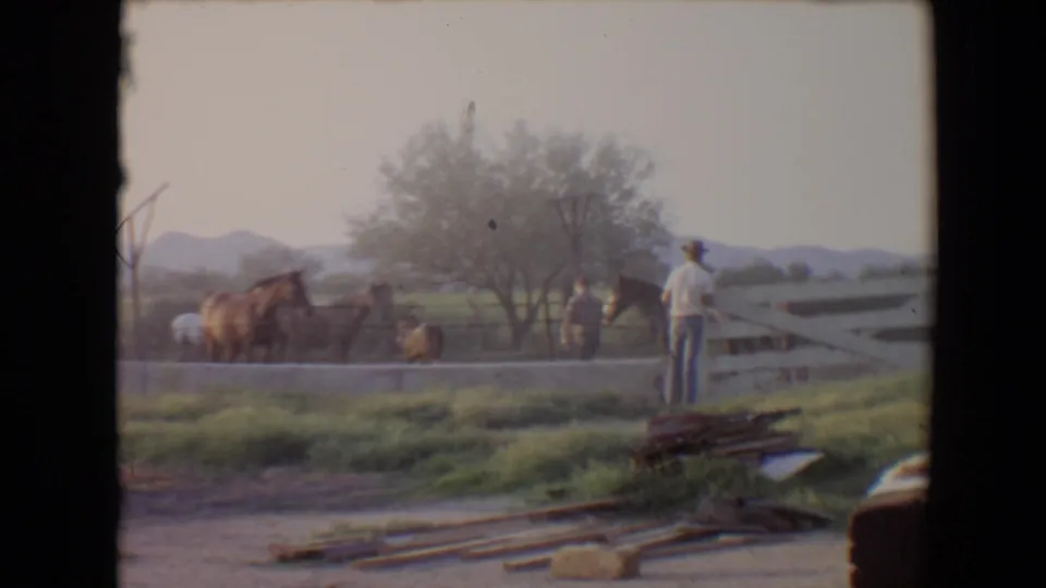 1967 Flagstaff paddock view with horses near a white rail fence, a man in a hat, trees, grass, and low mountains in the background.