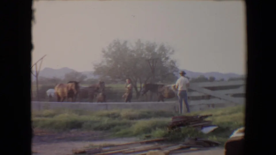 1967 Flagstaff home-movie frame showing horses moving beside a white fence while a casually dressed man observes in a rural paddock.
