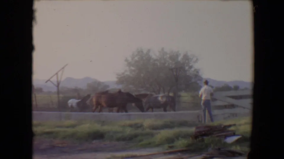 1967 Flagstaff rural frame with a brown horse crossing the paddock, a man at the fence, trees, open grass, and mountains beyond.