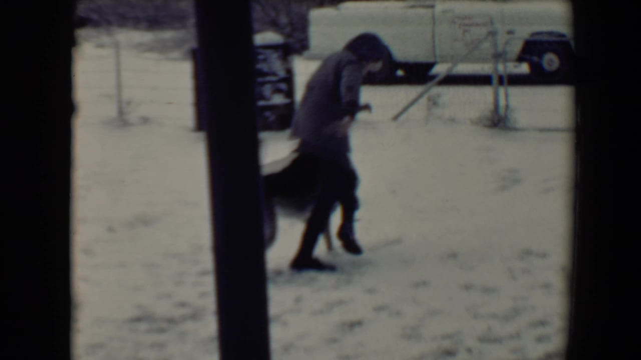 Child in a dark coat bends toward a dog on snowy ground near a parked white pickup.