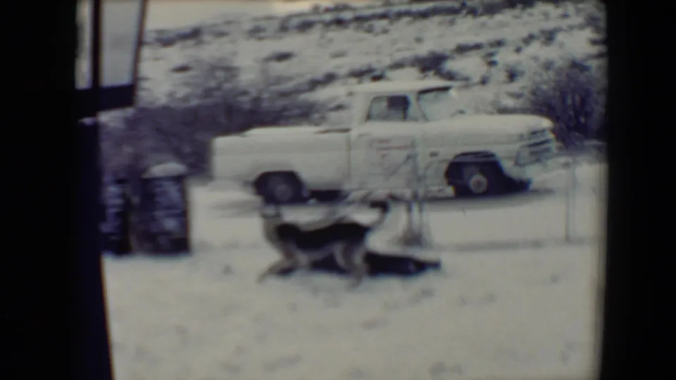 A dog pauses near a small tree or post in a snowy residential area, with the vintage white pickup behind it in the 1967 Flagstaff footage.