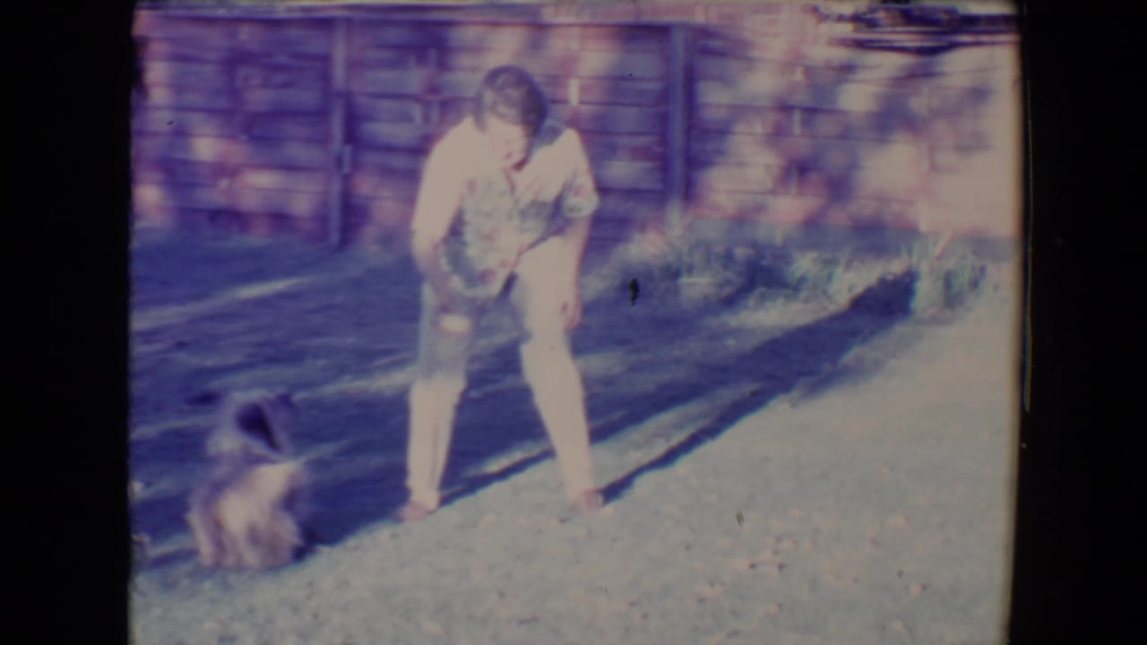 Woman in a light dress bends toward a small dog on a sunny backyard path.