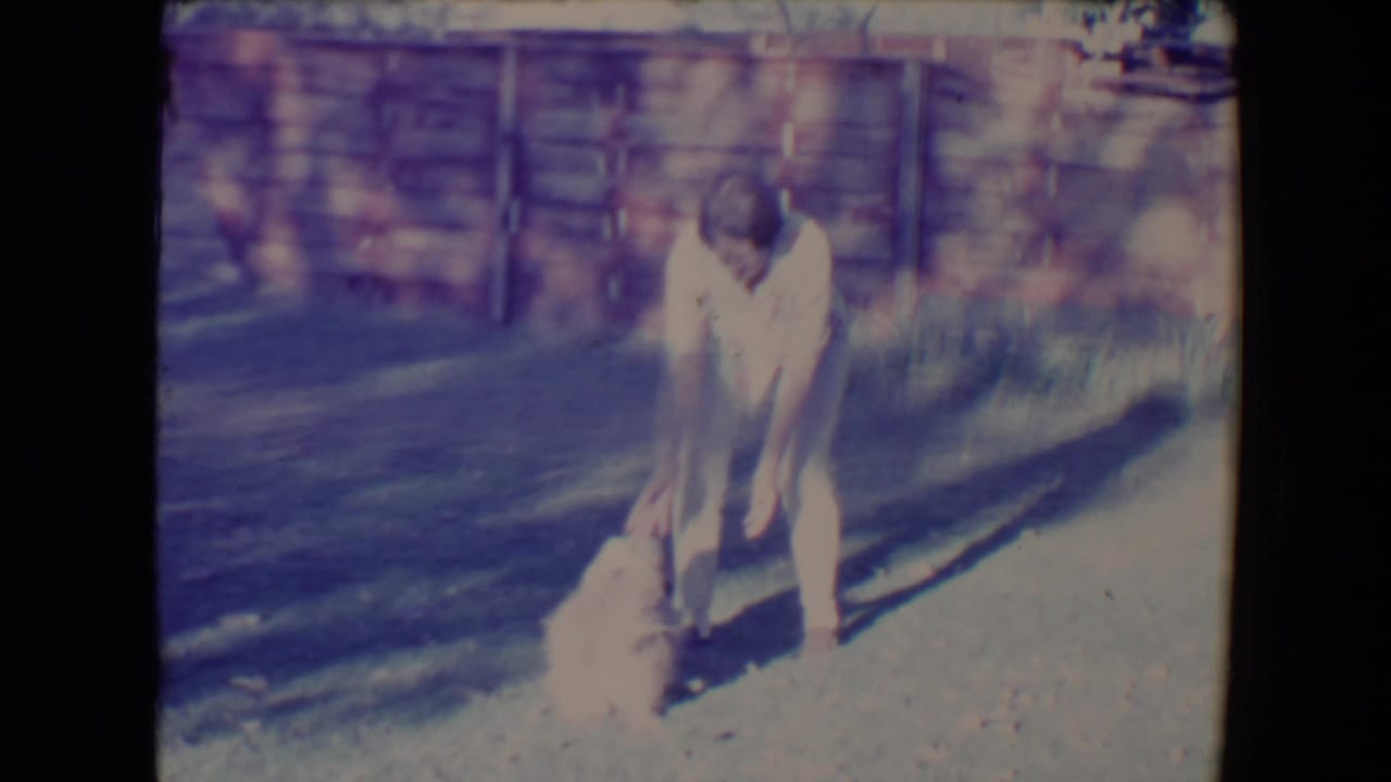 Man bends toward a small fluffy dog on a sunny backyard lawn.