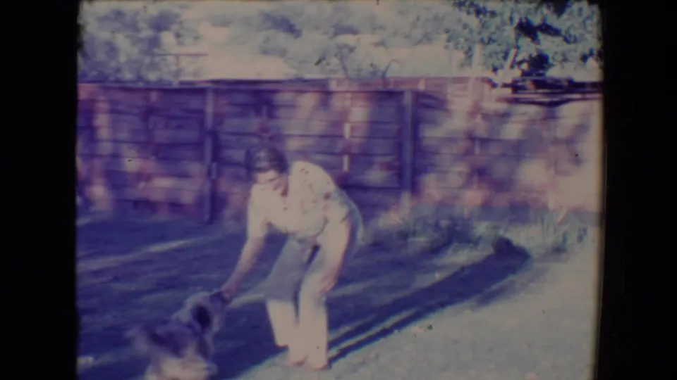 The man crouches and reaches toward the small dog on the lawn, with trees and a wooden fence behind them.
