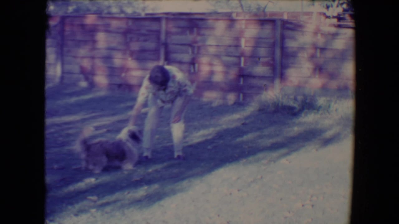 In 1967 Tucson home-movie footage, a woman in light clothing bends toward a small dog near a wooden backyard fence.