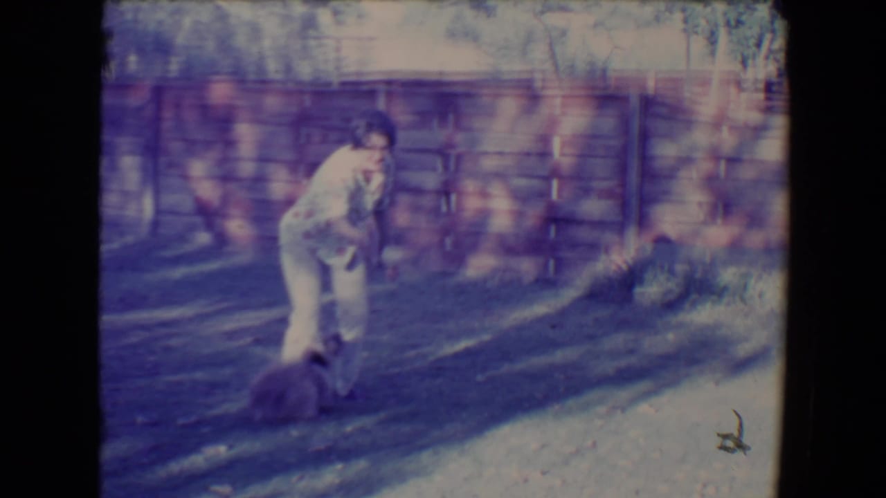 Woman stands over a small dog on grass with a wooden fence behind her.