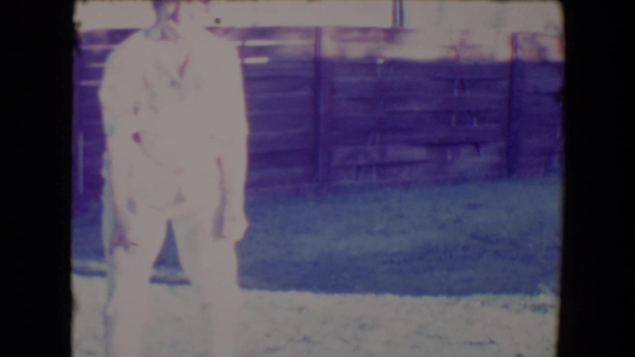 Woman stands on a lawn near a wooden fence with a small dog partly visible.