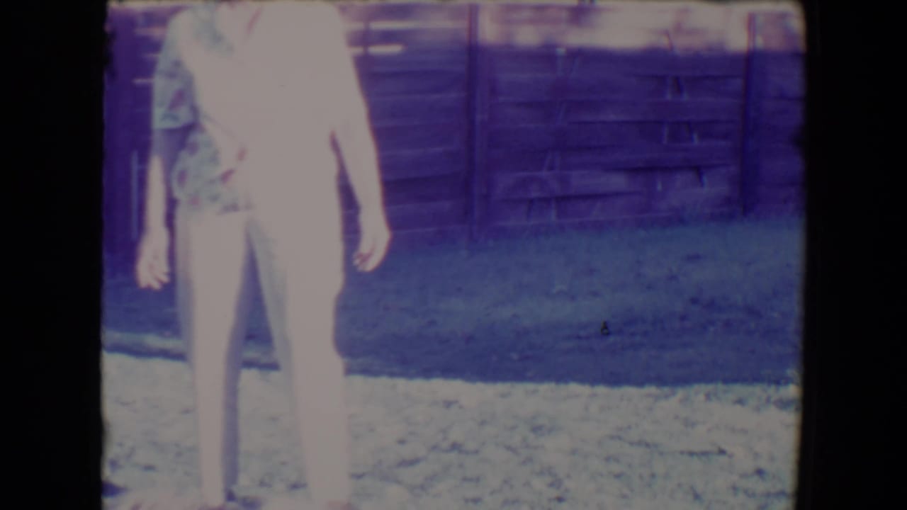 Woman standing in a fenced yard, partly overexposed by bright sunlight.