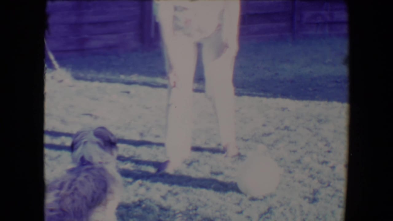 Woman in a pale dress stands outdoors as a fluffy dog sits or rises nearby.