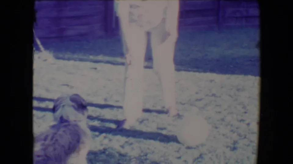 In a 1967 Tucson home-movie frame, a woman in a light dress stands by a fluffy dog in a sunlit backyard near a wooden fence.
