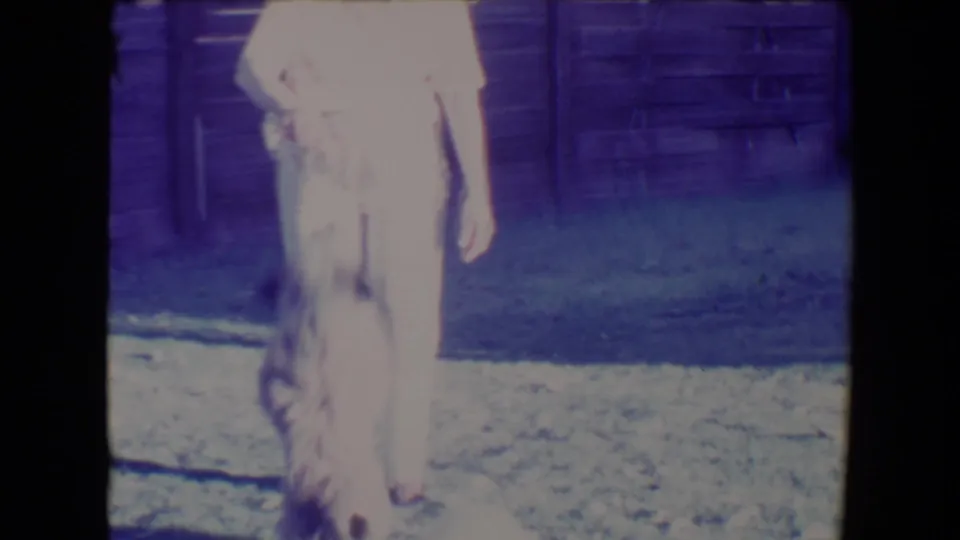 The dog jumps toward the woman in a light dress in this 1967 Tucson backyard home-movie frame.