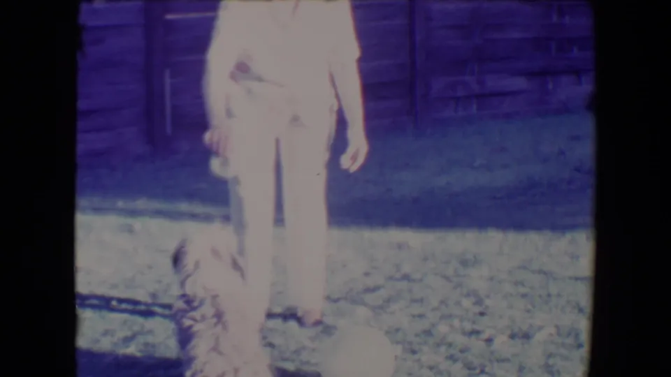 Soft, overexposed 8mm frame from Tucson in 1967 showing a woman guiding a small dog in a fenced backyard.