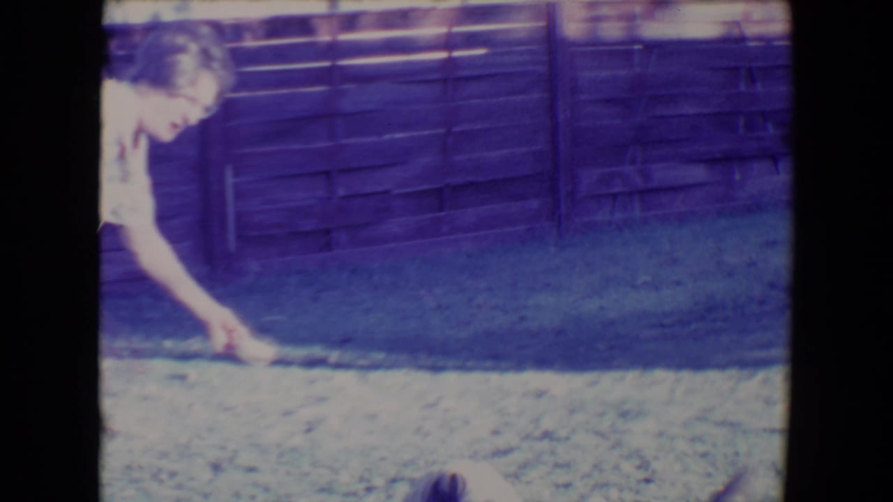 In the final frame, the woman reaches low toward the lawn while the dog is partly visible near the bottom edge.