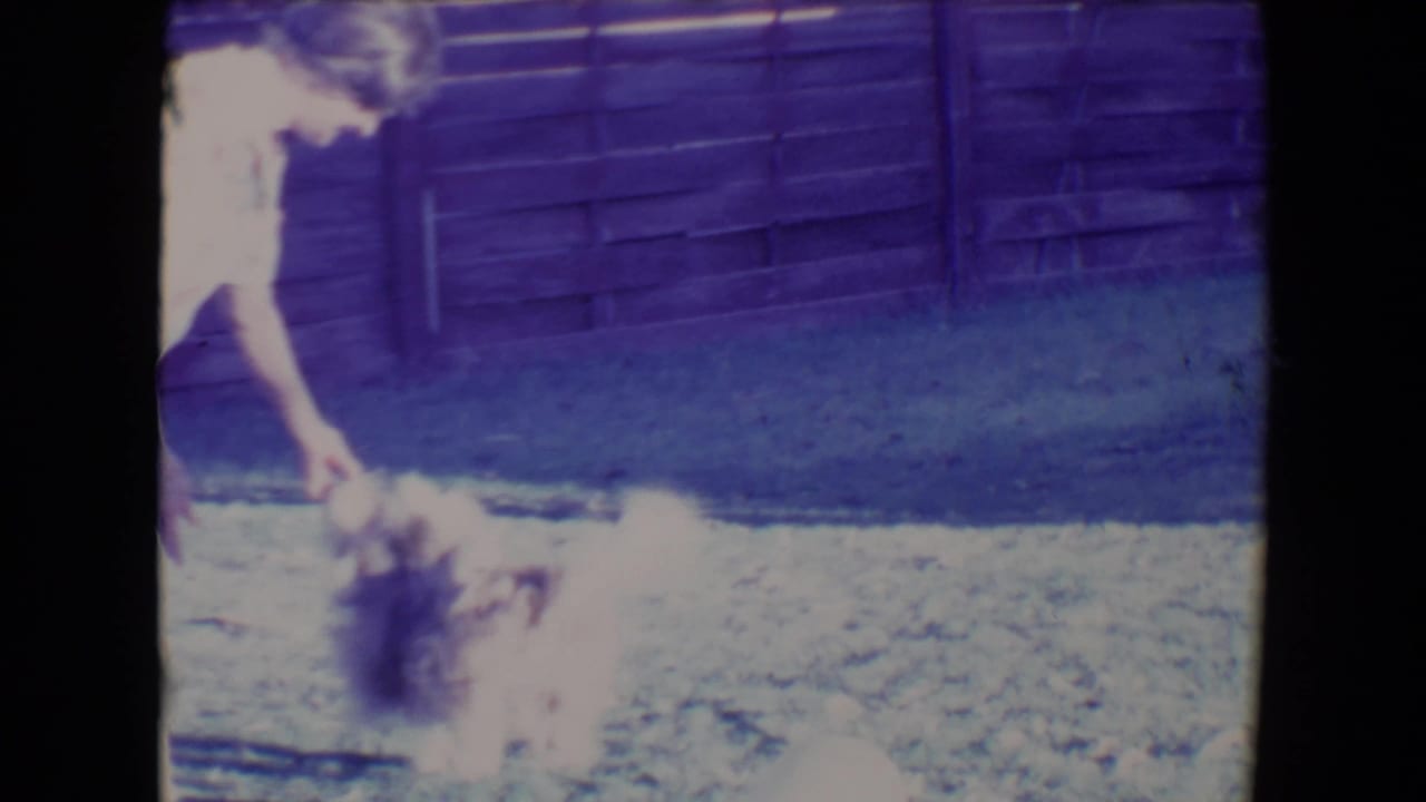 Woman bends toward a small dog on grass beside a wooden fence.